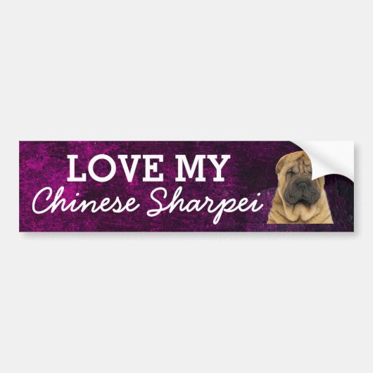 Chinese Sharpei-bumpersticker Bumpersticker (Voorkant)