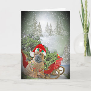 Chinese Sharpei Vrolijk Kerstfeest Feestdagen Kaart