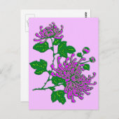Chinese spinchrysanthema - lavendel briefkaart (Voorkant / Achterkant)