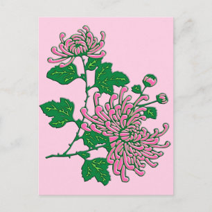 Chinese spinchrysanthema - zacht roze briefkaart