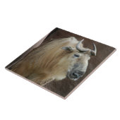 chinese-takin-5 tegeltje (Zijkant)