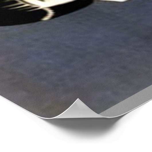 CHINESE TEA AD POSTER (Hoek)