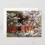 chinese tuin briefkaart (Voorkant / Achterkant)