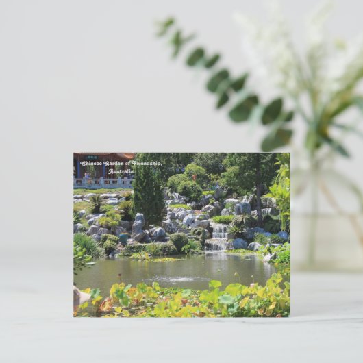 Chinese tuin, Chinatown, Sydney, Australië Briefkaart (Staand voorkant)