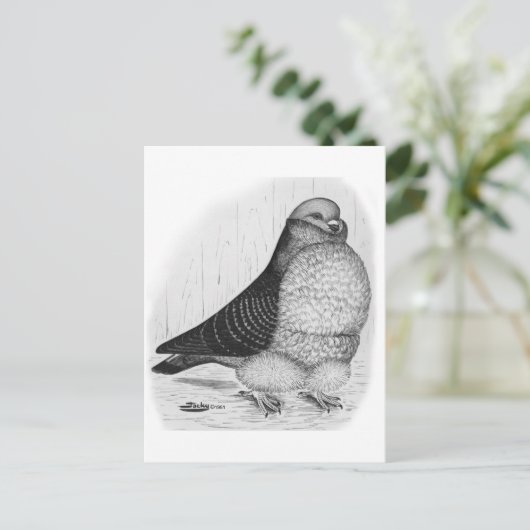 Chinese Uil Duif Inkt Tekening Briefkaart (Staand voorkant)