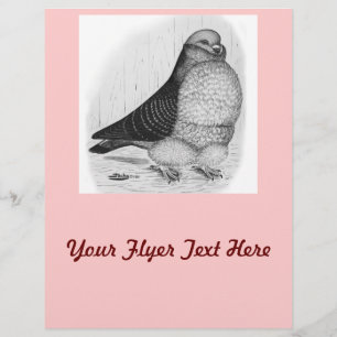 Chinese Uil Duif Inkt Tekening Flyer