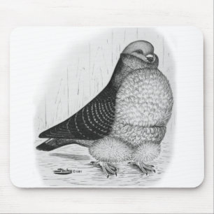 Chinese Uil Duif Inkt Tekening Muismat
