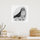 Chinese Uil Duif Inkt Tekening Poster (Keuken)