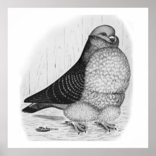 Chinese Uil Duif Inkt Tekening Poster