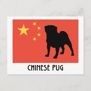 Chinese vlag met pug briefkaart