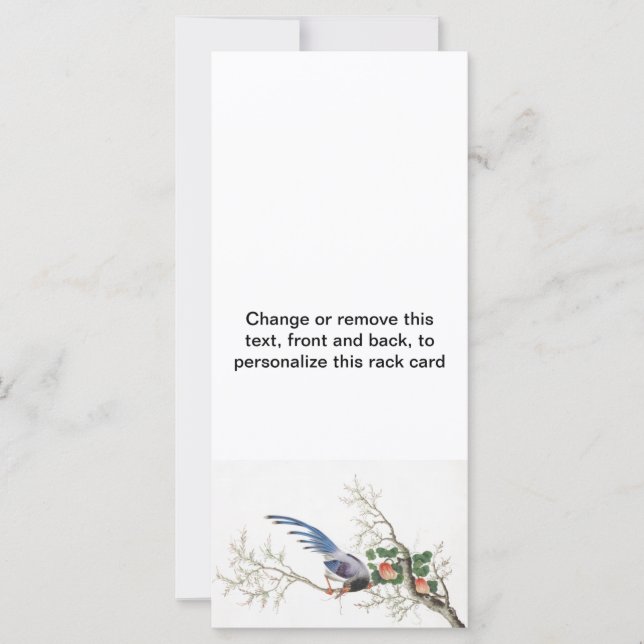 Chinese vogelschilders (Voorkant)