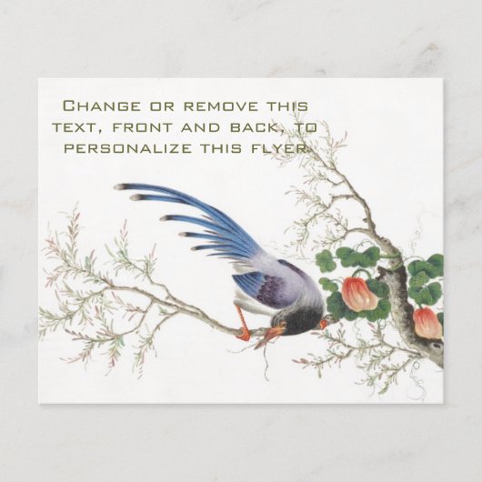 Chinese vogelschilders flyer (Voorkant)