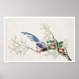 Chinese vogelschilders poster