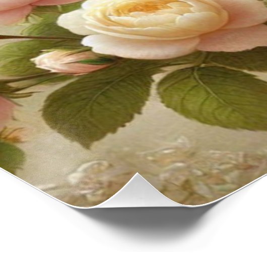 Chinese vrouw perfect poster (Hoek)