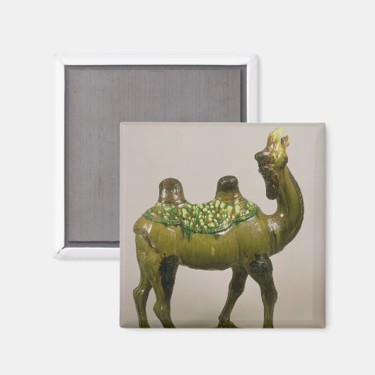 Chinese waskameel magneet (Voorkant / Achterkant)