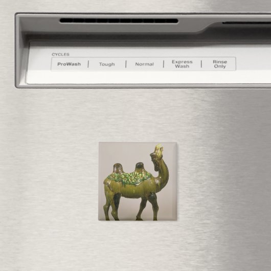 Chinese waskameel magneet (Insitu (Vaatwasser))