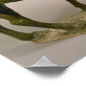 Chinese waskameel poster (Hoek)