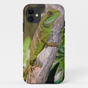 Chinese Water Dragon iPhone 5 Hoesje