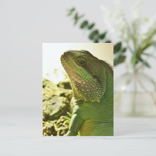 Chinese waterdraak briefkaart (Staand voorkant)