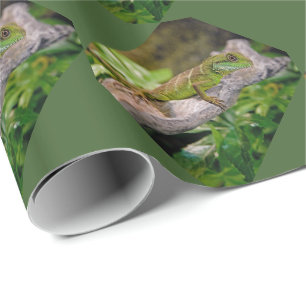 Chinese Waterdraak Inpakpapier
