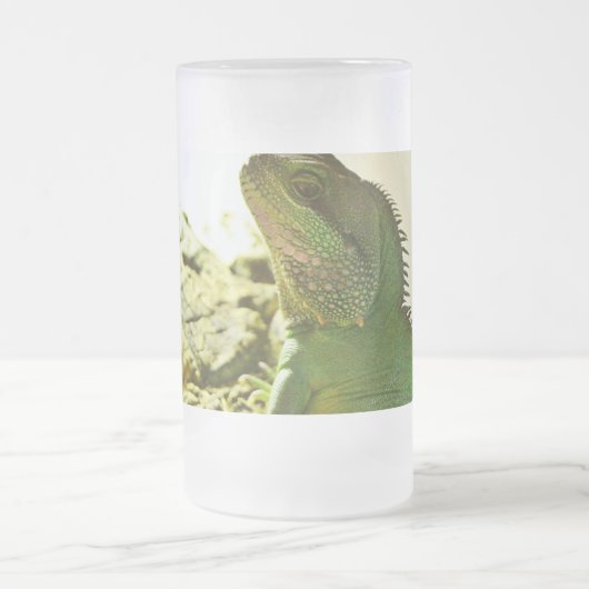 Chinese waterdraak matglas bierpul (Center)