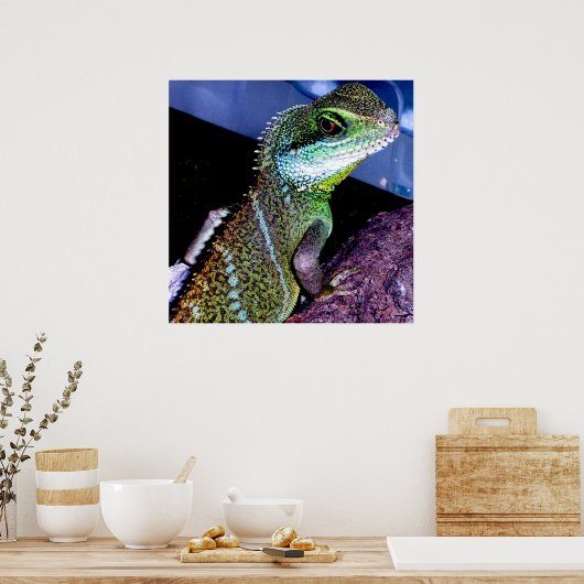 Chinese waterdraak poster (Keuken)