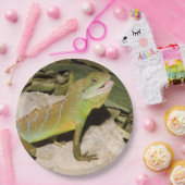 Chinese waterdraak voor hagedis papieren bordje (Feest)