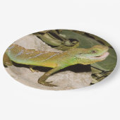 Chinese waterdraak voor hagedis papieren bordje (Gekanteld)