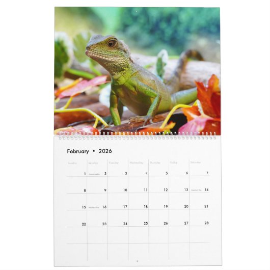 Chinese waterlopen kalender (Feb 2026)