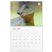 Chinese waterlopen kalender (Mar 2027)