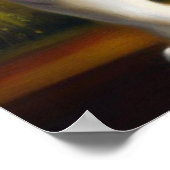 Chinese witte tijger (27) poster (Hoek)