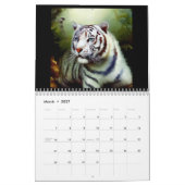Chinese witte tijgers #2 kalender (Mar 2027)