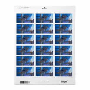 Chingachgook van Newell Convers Wyeth Etiket