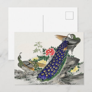 Chinoiserie Blauwe Pauwrooie Pioen Botanische Kuns Briefkaart