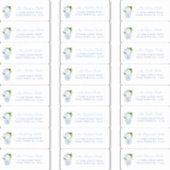 Chinoiserie Chic Wedding Shower-gastadres Sticker (Voorkant)