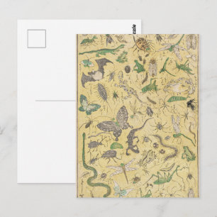 Chinoiserie Japanse Bug & Insect Natuur Poster Briefkaart
