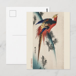 Chinoiserie Kleurrijke Fazant Vogel & Pijnboom Kun Briefkaart