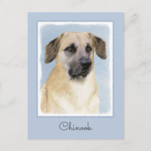 Chinook (Dropped Ears) schilderen - Oorspronkelijk Briefkaart