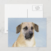 Chinook (Dropped Ears) schilderen - Oorspronkelijk Briefkaart (Voorkant / Achterkant)