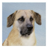 Chinook (Dropped Ears) schilderen - Oorspronkelijk Perfect Poster (Voorkant)