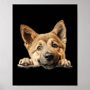 Chinook-hond moeder vader glurend puppy poster