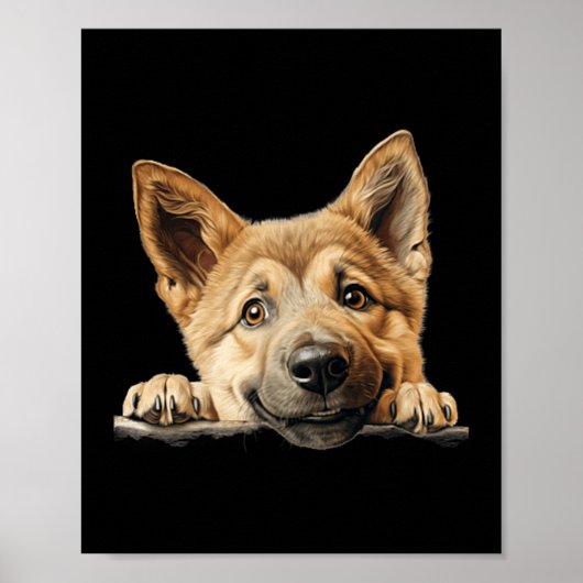 Chinook-hond moeder vader glurend puppy poster (Voorkant)