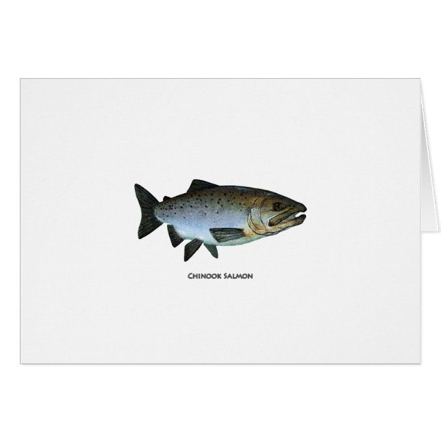 Chinook - King Salmon (Voorkant Horizontaal)