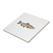 Chinook - King Salmon (paaifase) Tegeltje (Zijkant)