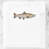Chinook - Koningszalm (paaifase) Ovale Sticker (Tas)