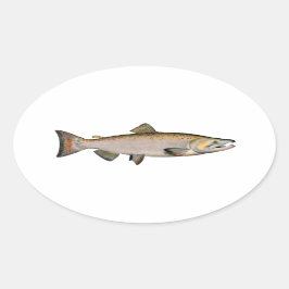 Chinook - Koningszalm (paaifase) Ovale Sticker