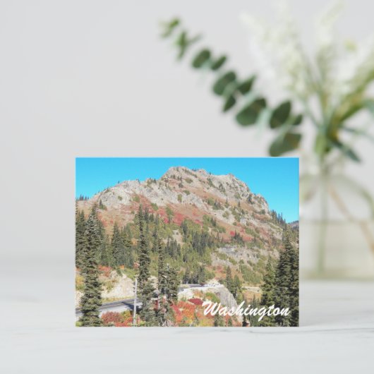 Chinook Pass, Washington State Travel Foto Briefkaart (Staand voorkant)