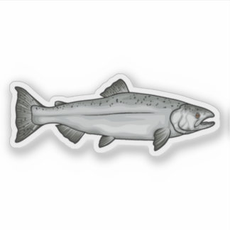 Chinook Salmon Ocean Phase illustratie Sticker