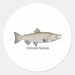 Chinook Salmon (titel) Ronde Sticker