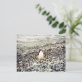Chinstrap Penguin, briefkaart (Staand voorkant)